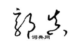 梁锦英郭真草书个性签名怎么写