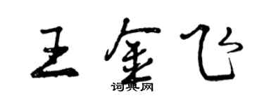 曾庆福王金飞行书个性签名怎么写