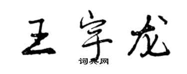 曾庆福王宇龙行书个性签名怎么写