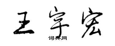 曾庆福王宇宏行书个性签名怎么写
