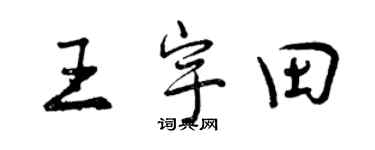 曾庆福王宇田行书个性签名怎么写