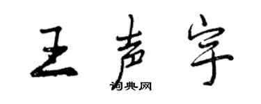 曾庆福王声宇行书个性签名怎么写