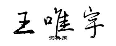 曾庆福王唯宇行书个性签名怎么写