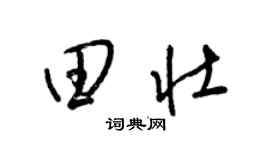 梁锦英田壮草书个性签名怎么写