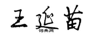 曾庆福王延苗行书个性签名怎么写