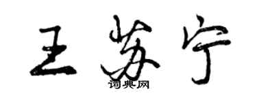 曾庆福王苏宁行书个性签名怎么写