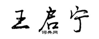 曾庆福王启宁行书个性签名怎么写