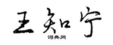 曾庆福王知宁行书个性签名怎么写