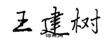 曾庆福王建树行书个性签名怎么写