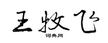 曾庆福王牧飞行书个性签名怎么写
