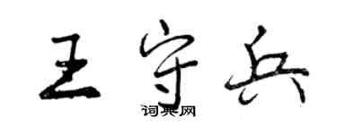 曾庆福王守兵行书个性签名怎么写