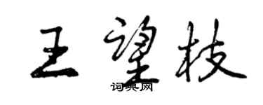 曾庆福王望枝行书个性签名怎么写
