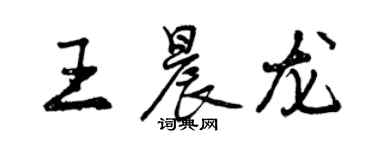 曾庆福王晨龙行书个性签名怎么写
