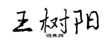 曾庆福王树阳行书个性签名怎么写