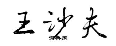 曾庆福王沙夫行书个性签名怎么写