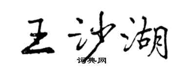 曾庆福王沙湖行书个性签名怎么写