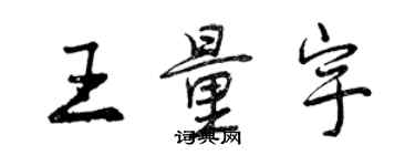 曾庆福王量宇行书个性签名怎么写