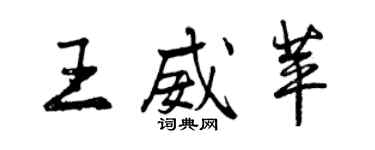 曾庆福王威苹行书个性签名怎么写