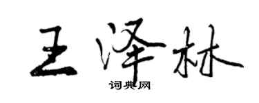 曾庆福王泽林行书个性签名怎么写
