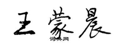 曾庆福王蒙晨行书个性签名怎么写