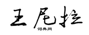 曾庆福王尼拉行书个性签名怎么写