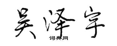 曾庆福吴泽宇行书个性签名怎么写