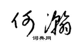 梁锦英何瀚草书个性签名怎么写