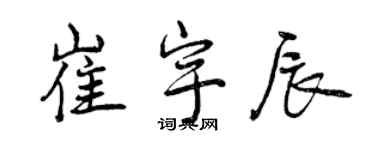 曾庆福崔宇辰行书个性签名怎么写