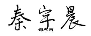 曾庆福秦宇晨行书个性签名怎么写