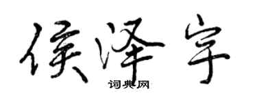 曾庆福侯泽宇行书个性签名怎么写