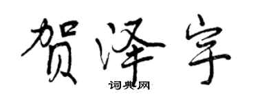 曾庆福贺泽宇行书个性签名怎么写