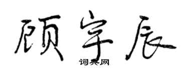 曾庆福顾宇辰行书个性签名怎么写