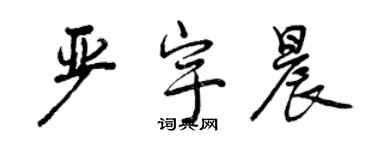 曾庆福严宇晨行书个性签名怎么写