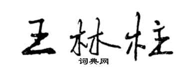 曾庆福王林柱行书个性签名怎么写