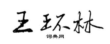 曾庆福王环林行书个性签名怎么写