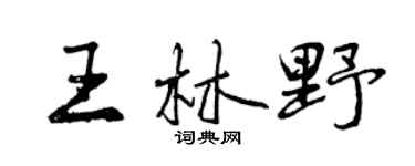 曾庆福王林野行书个性签名怎么写