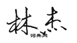 骆恒光林杰行书个性签名怎么写