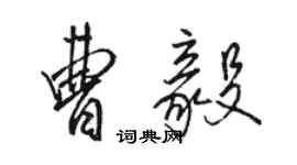 骆恒光曹毅行书个性签名怎么写