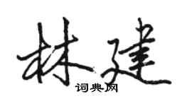 骆恒光林建行书个性签名怎么写