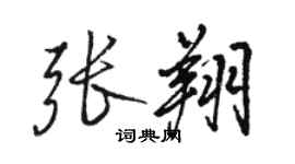 骆恒光张翔行书个性签名怎么写
