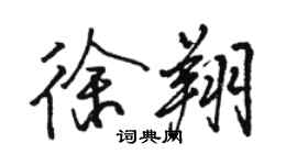 骆恒光徐翔行书个性签名怎么写