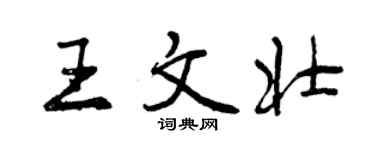 曾庆福王文壮行书个性签名怎么写