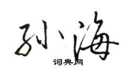 骆恒光孙海行书个性签名怎么写
