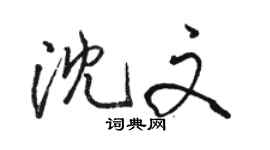 骆恒光沈文行书个性签名怎么写