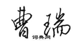 骆恒光曹瑞行书个性签名怎么写