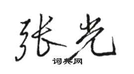 骆恒光张光行书个性签名怎么写