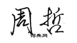 骆恒光周哲行书个性签名怎么写