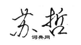 骆恒光苏哲行书个性签名怎么写