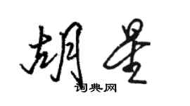 骆恒光胡星行书个性签名怎么写