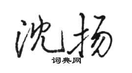 骆恒光沈扬行书个性签名怎么写